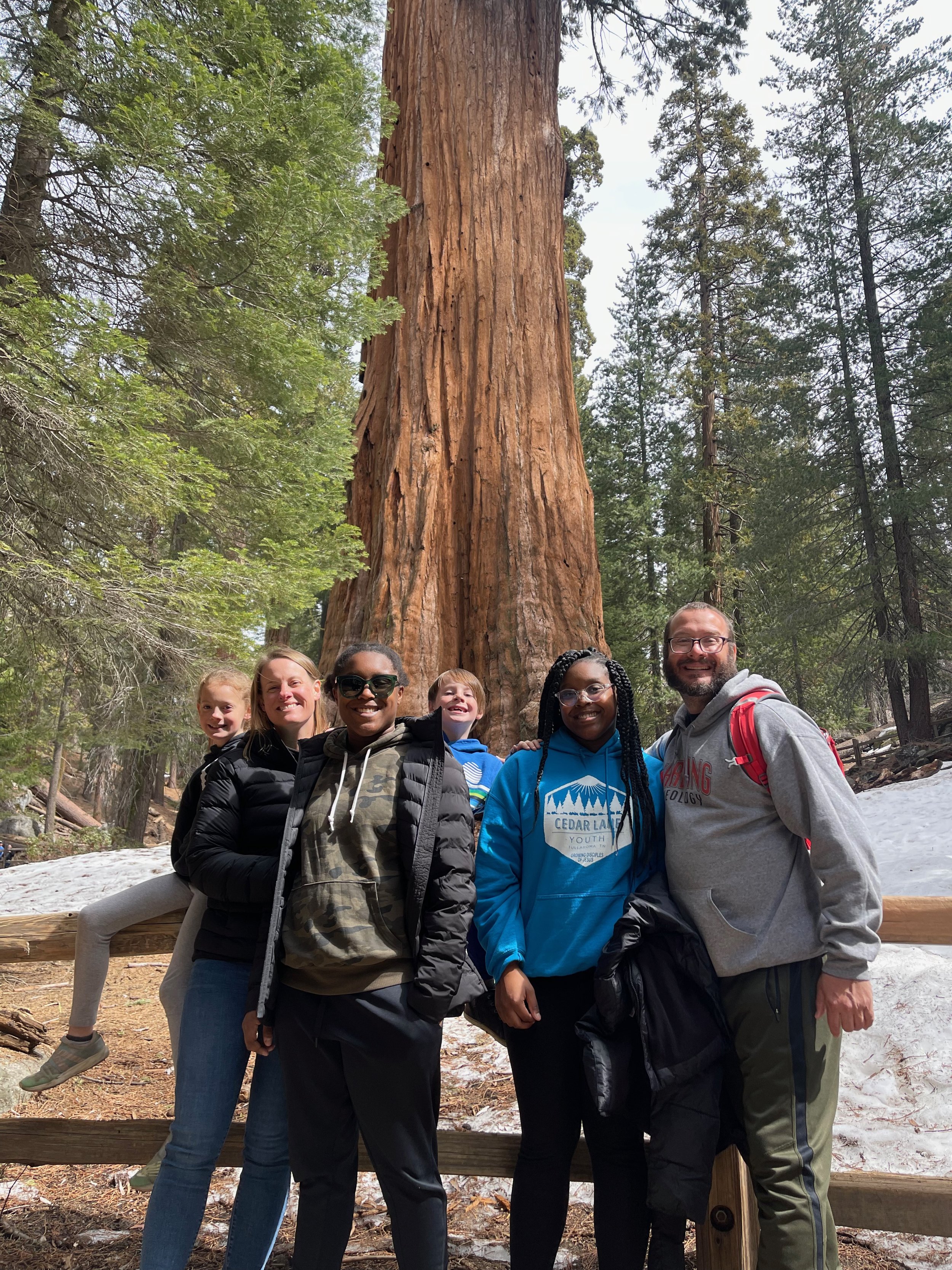 Sequoia - 6.jpeg